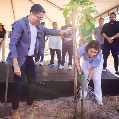 Um Marco Sustentável: Plantar árvores é cuidar do futuro da cidade