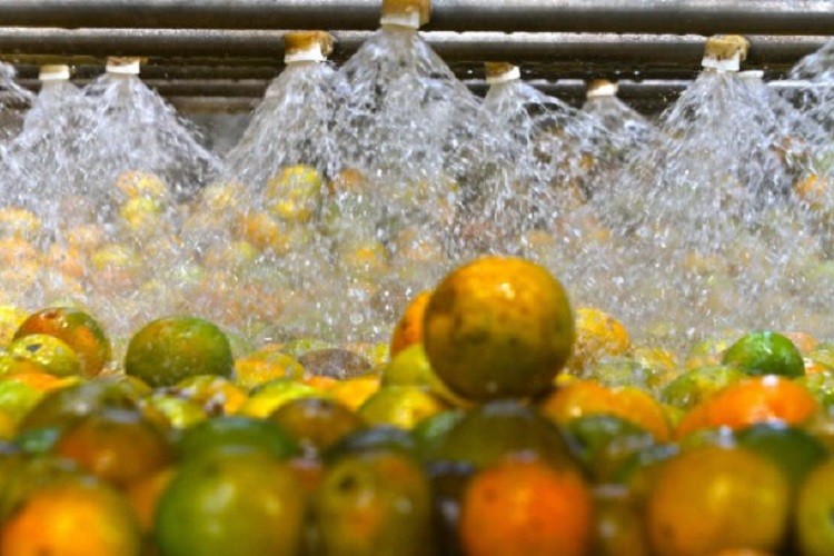 Calçados e suco de laranja representam 61,4% das exportações de Sergipe