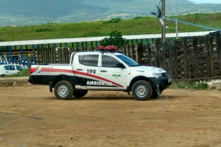 Justiça determina interdição do matadouro de Itabaiana