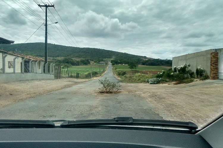 População planta árvore em buraco de rodovia em Moita Bonita