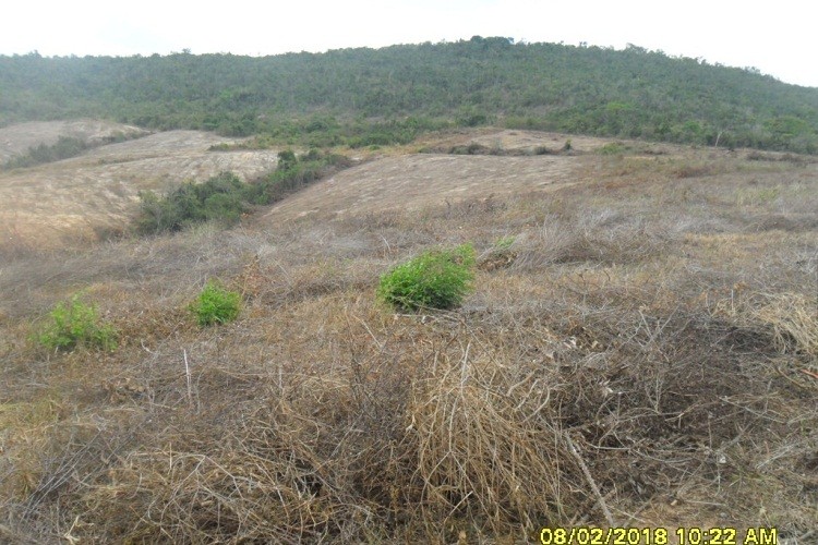 Adema combate desmatamento na Serra do Machado