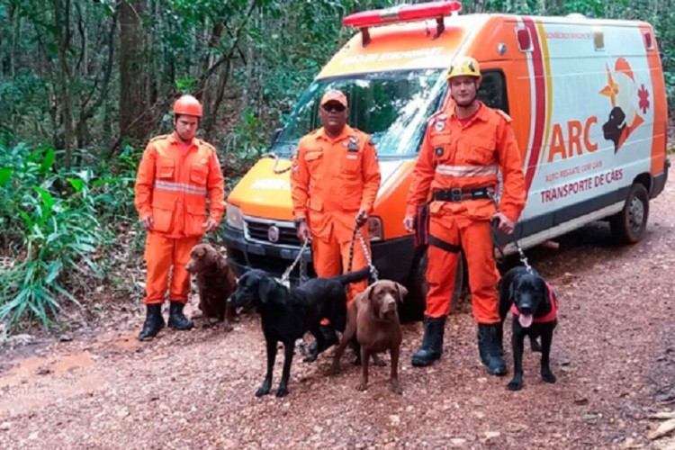 Cães treinam resgate de pessoas desaparecidas na Serra de Itabaiana