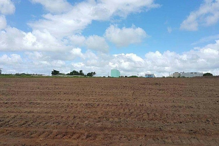 Iniciada a terraplanagem do terreno para construção da CEASA de Itabaiana