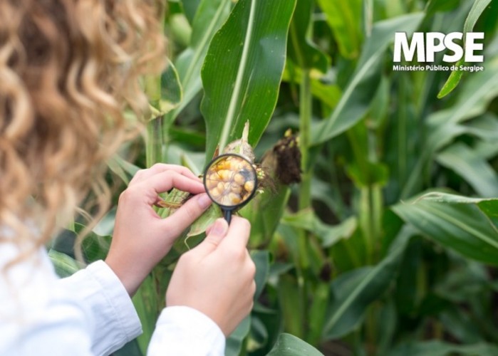 MPSE instaura Inquérito Civil para verificar grau de contaminação por agrotóxicos nos produtos alimentícios em Sergipe