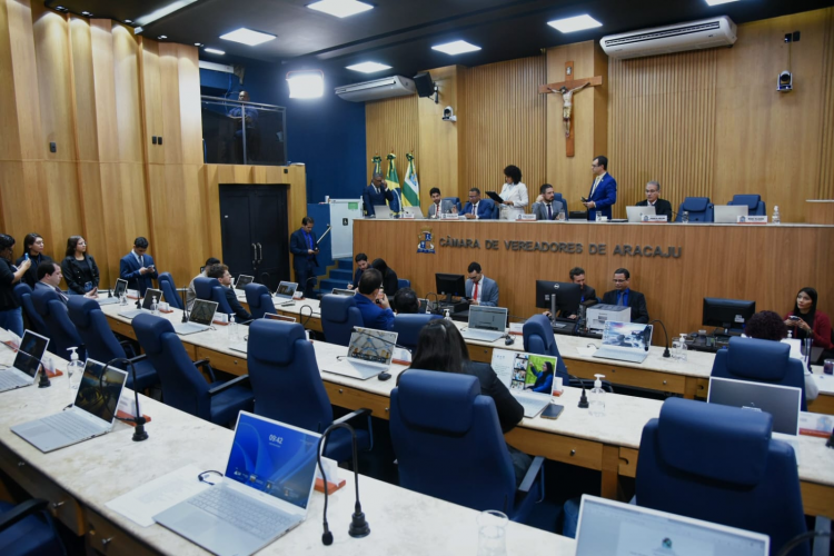 CMA aprova, em 1ª discussão, projeto de lei que proíbe fogos de artifício com alto ruído