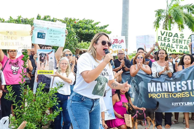 Justiça pelos Animais Comunitários: Mobilização em Aracaju Conecta Casos Locais e movimento nacional contra maus-tratos e aumento de penas