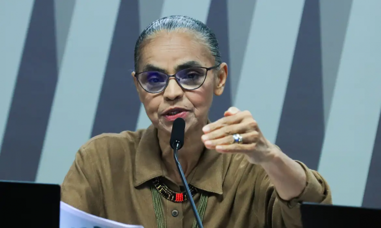 Lula e Marina Silva conversam sobre ataques em comissão do Senado