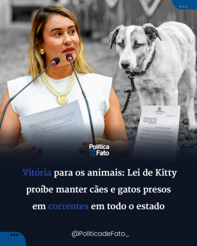 Vitória para os animais: Lei de Kitty proíbe manter cães e gatos presos em correntes em todo o estado