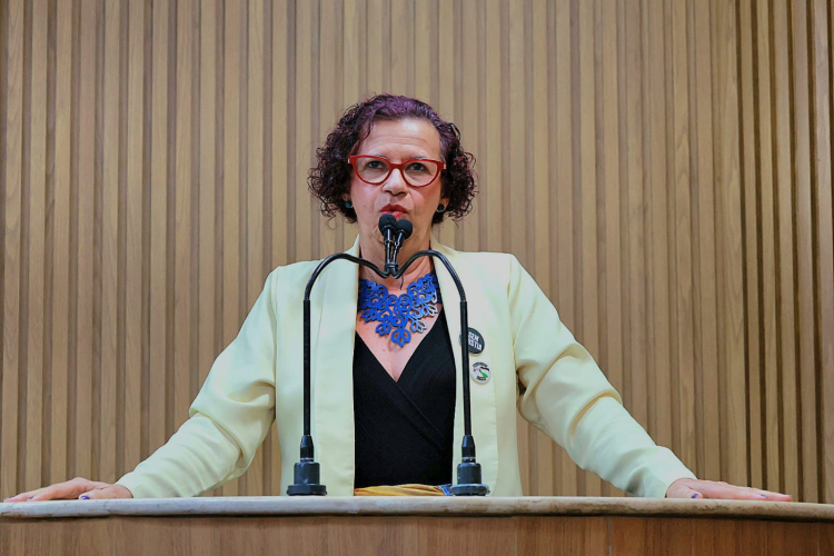 “O péssimo serviço da Iguá é consequência da destruição de uma empresa pública”, diz Sônia Meire